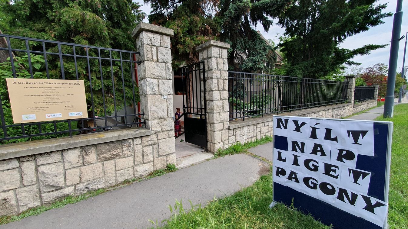 Nyitott könyv a Liget és a Pagony belső élete