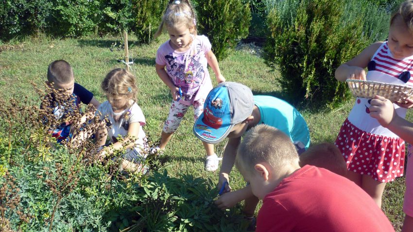 Even in kindergarten, environmental education is in the center