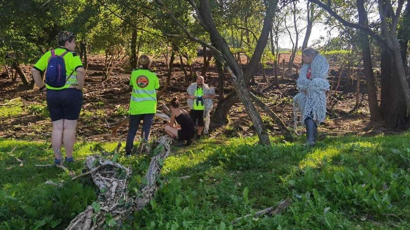 Kutyákat is lerúgott a Mórról eltűnt kenguru, még mindig nem találtak rá +fotók