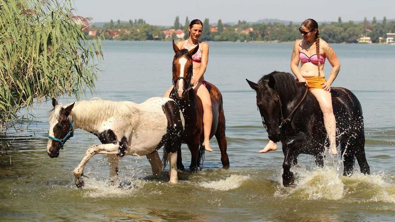 Lovak „strandoltak” az Öreg-tónál - fotókon a különleges fürdőzés