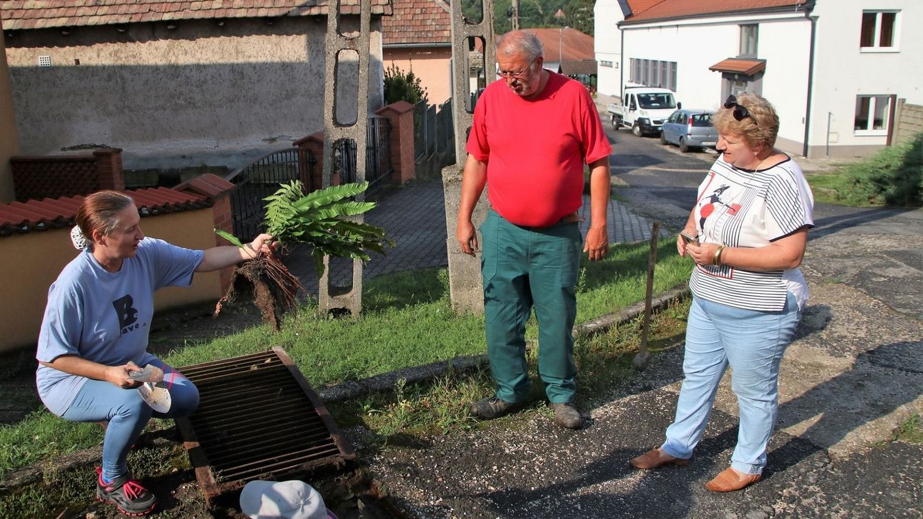 Csatornában élt, de Csolnok jelképe lehet Dezső