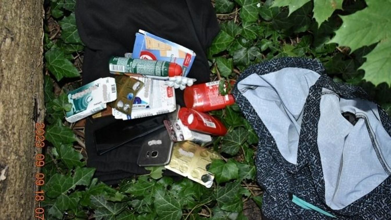 Lopott bankkártyával járta a tatai boltokat a páros, a Cseke-tóig vezettek a szálak