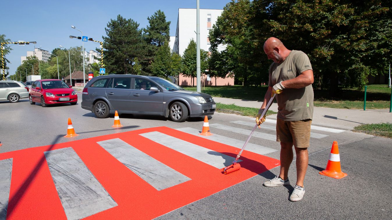Így készül a piros zebra: az új háttérszínnel teszik feltűnőbbé a zebrákat Tatabányán