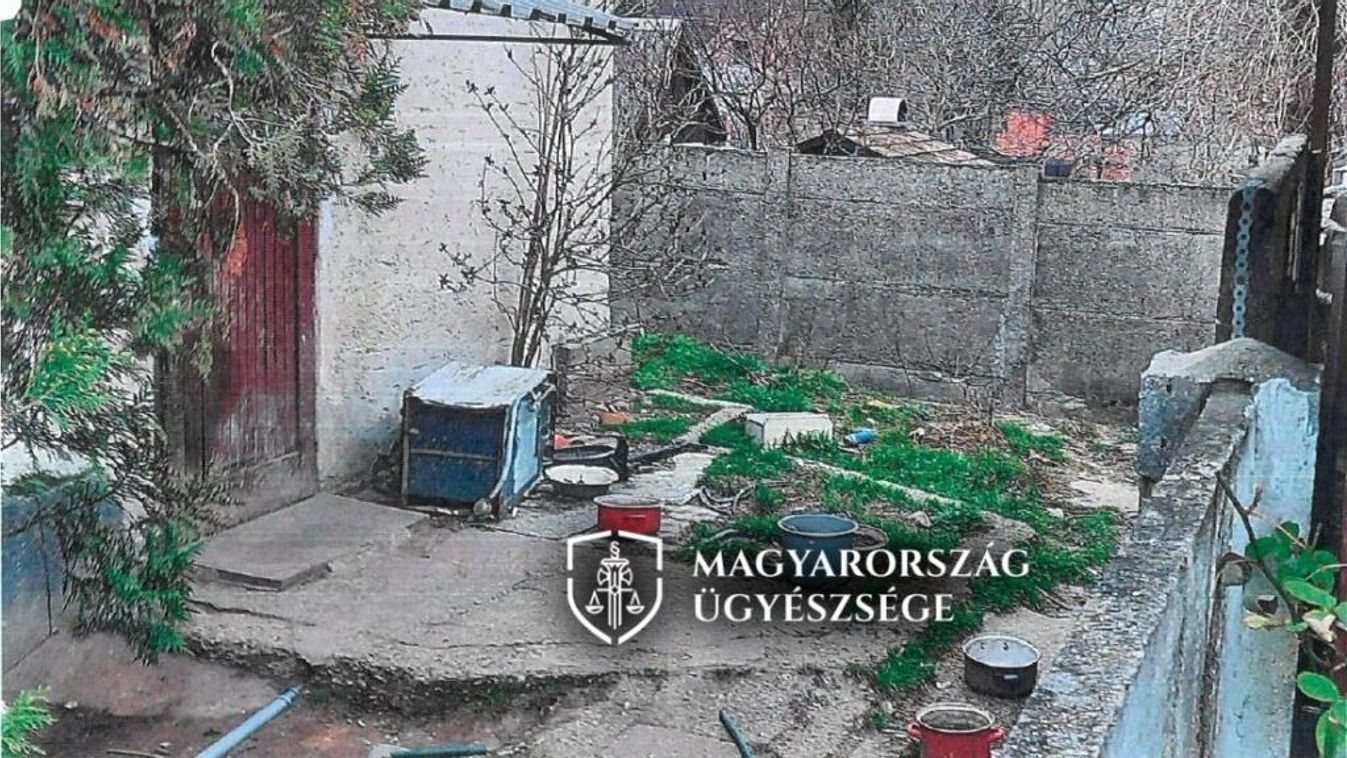 Állatkínzó Tokodon: étlen-szomjan a vizes betonfalat nyalogatta a magára hagyott kutya