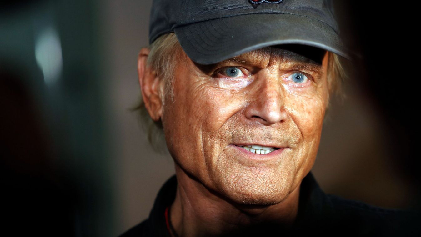 Ezt látni kell! Magyar grafikus zseniális rajzát posztolta Terence Hill