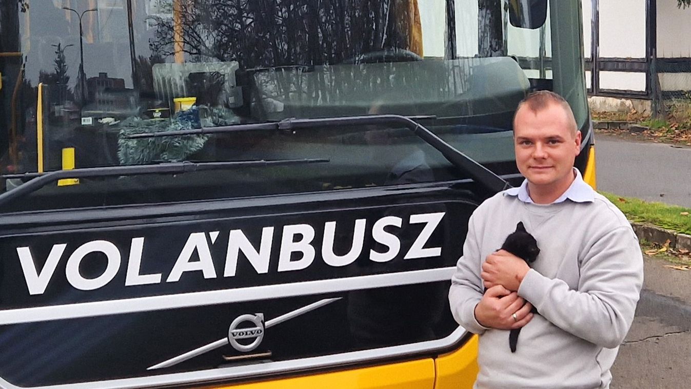 Apró potyautas nyávogott a miskolci buszon, a sofőr örökbe fogadta