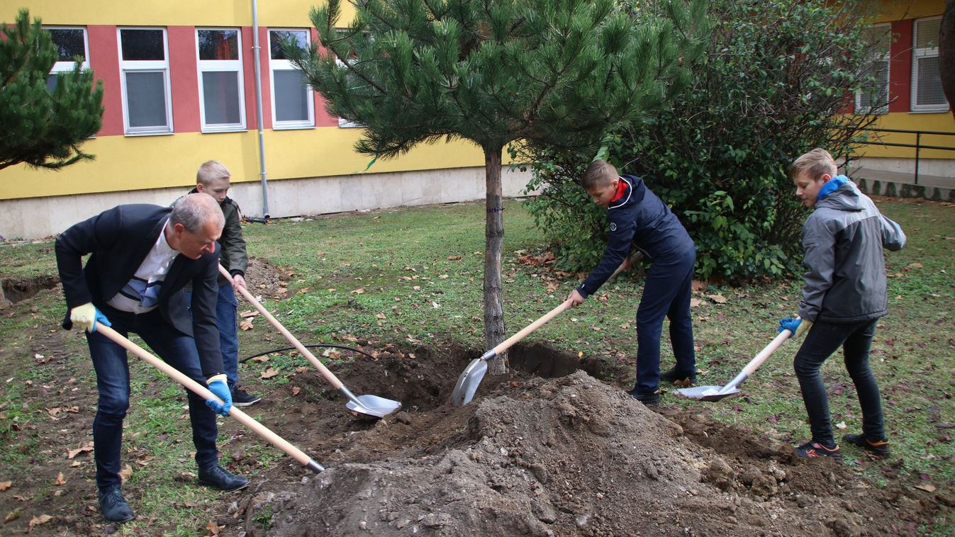 Fenyőket ültettek a dorogi diákok - intézményvezetők és alpolgármester is segített nekik