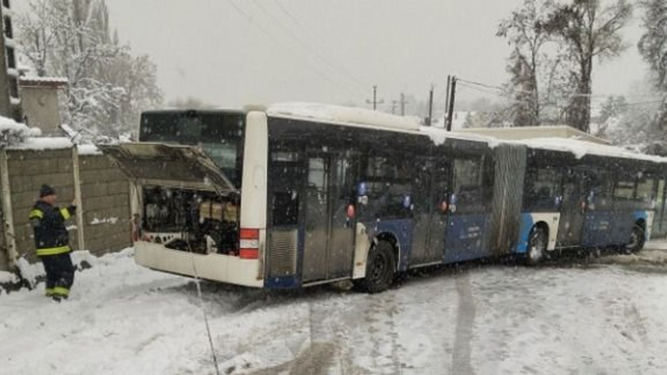 Beavatkozások Tatabányán: elakadt busz, idősek otthonára és parkoló autókra dőltek a fák