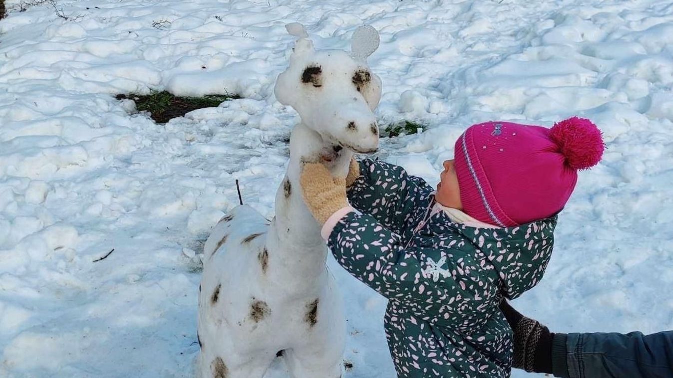 A hóember smafu: Tatabányán már hózsiráf és hómackó is van!