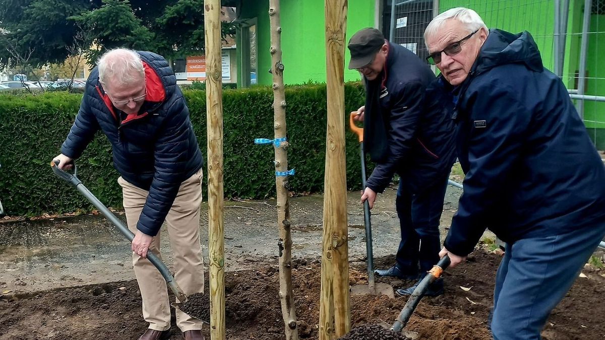 A főigazgató és a tudományos igazgató is ásót ragadott a tatabányai kórházért