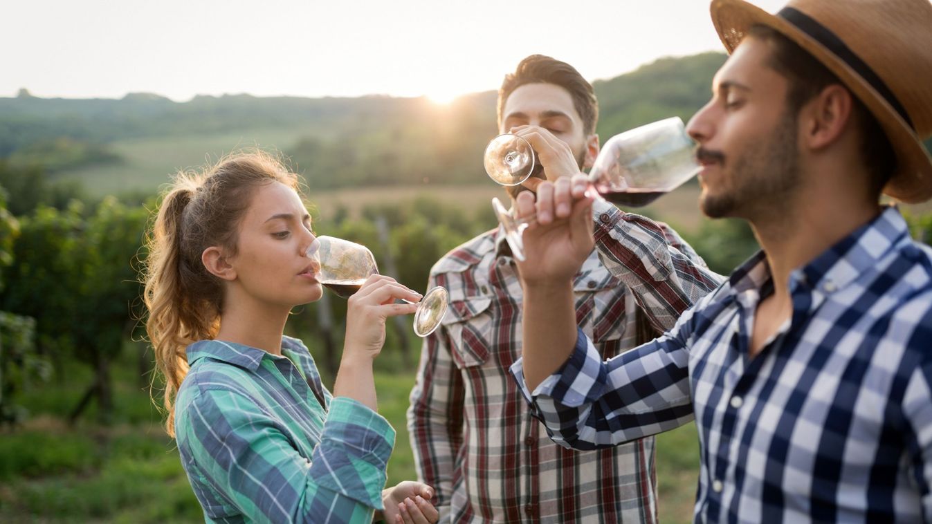 Elképesztő, mennyibe kerül a világ legdrágább bora