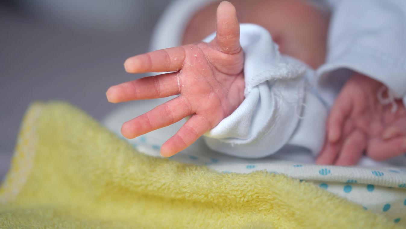Udvari WC-ből mentettek ki egy újszülöttet a tűzoltók: csak a kis keze látszott ki