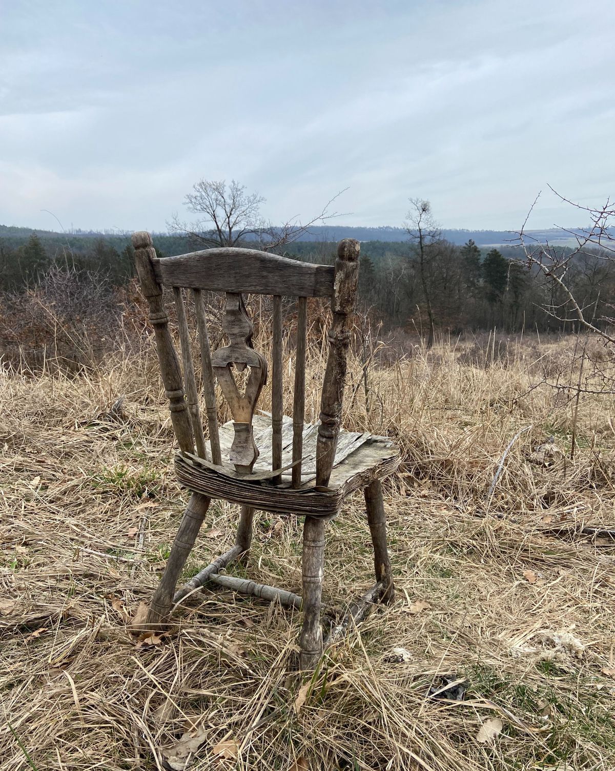 Egy szék mindentől távol a szomódi erdőben, ami kérdéseket vet fel