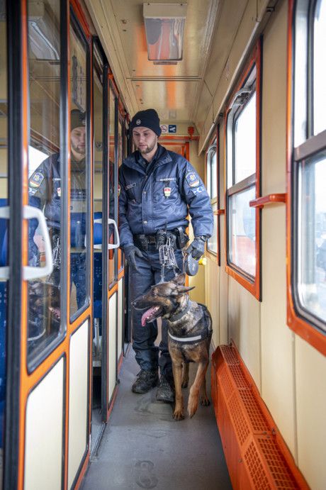 Kutyákat is bevetettek a rendőrök az ellenőrzésen