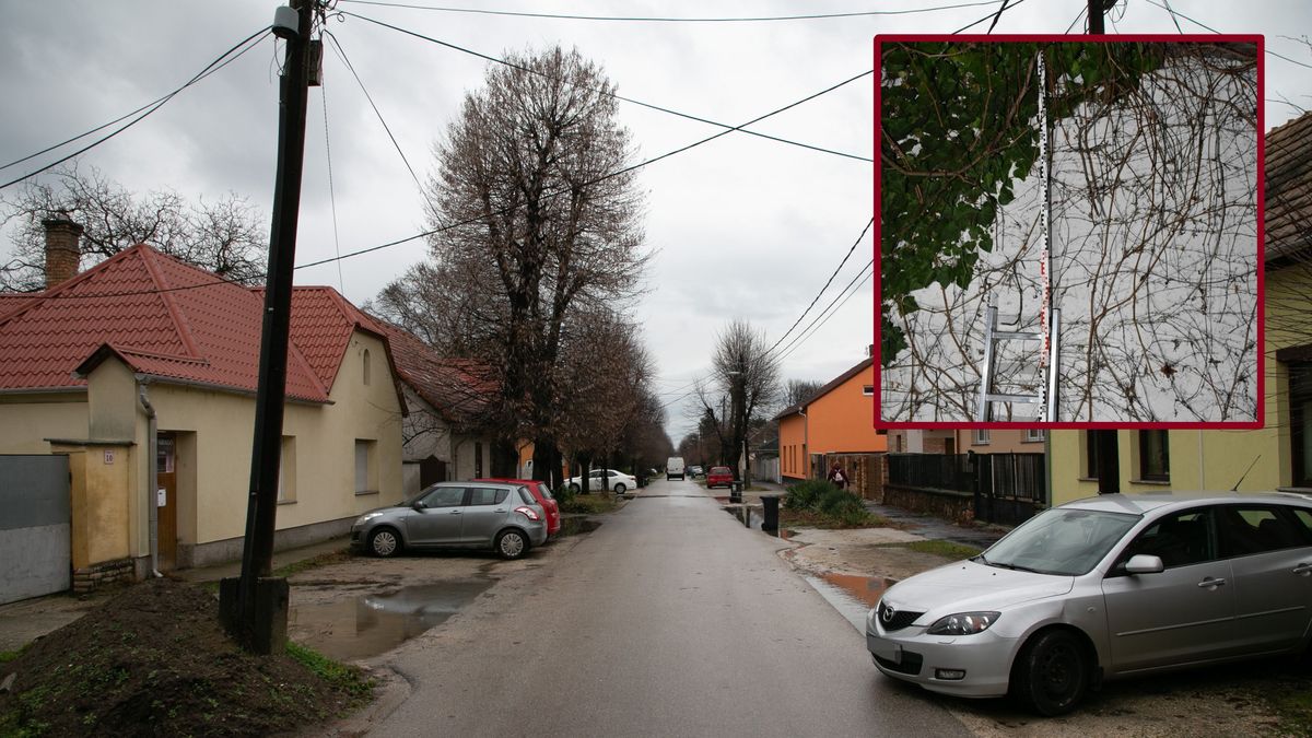 Nagy erőkkel keresték a Komárom-Esztergom vármegyei nyomozók azt a férfit, aki három idős asszonyt rabolt ki Tatán. Munkájuknak meglett az eredménye: letartóztatták az elkövetőt.