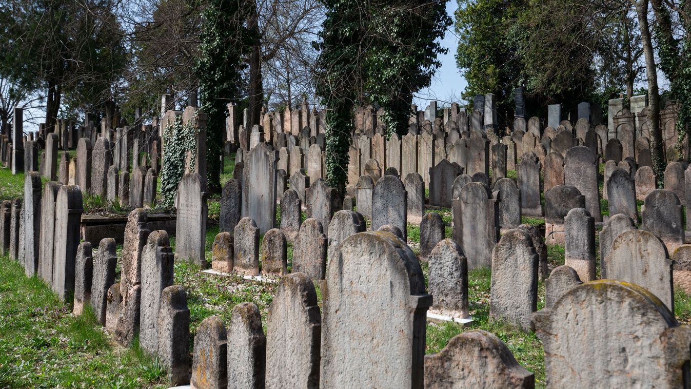 KEMMA – Robert Downey Jr. ősei a tatai zsidó temetőben nyugszanak