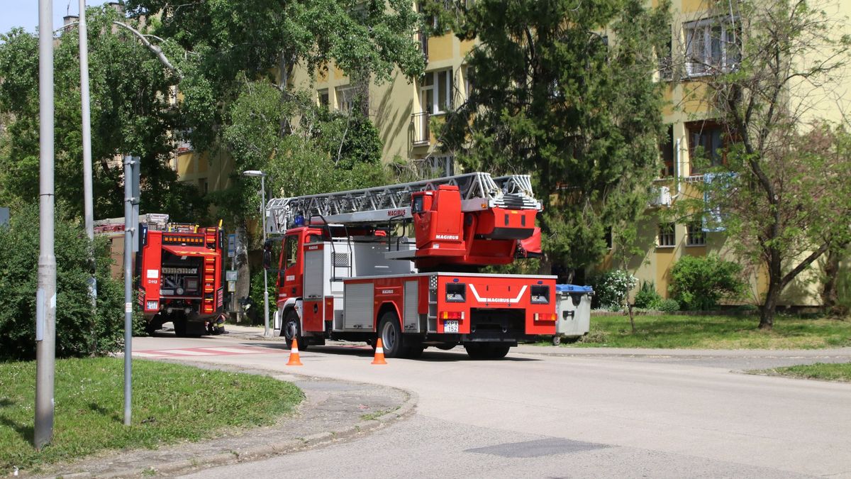 Két tűzoltóautó is megjelent április 14-én vasárnap kora délután az esztergomi Irinyi János utcában. Néhány héttel ezelőtt szintén tűzhelyen felejtett étel miatt riasztották a tűzoltókat a városban.