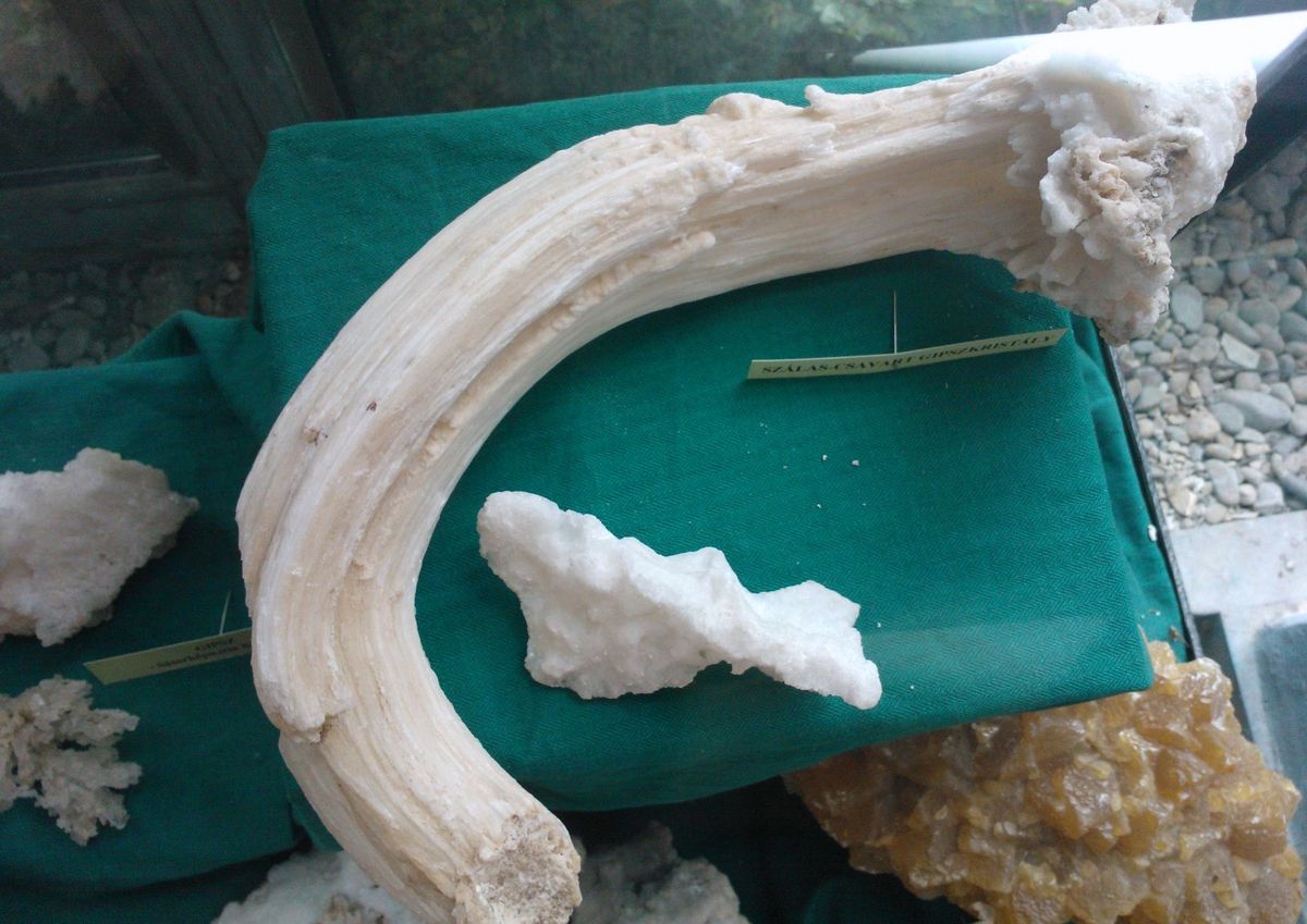 A Sátorkőpusztai-kristálybarlangba kerülhetett az igazán különleges tatai lelet. Az 50 centis mamutagyart több mint 50 éve találták a tatai barlangászok. 