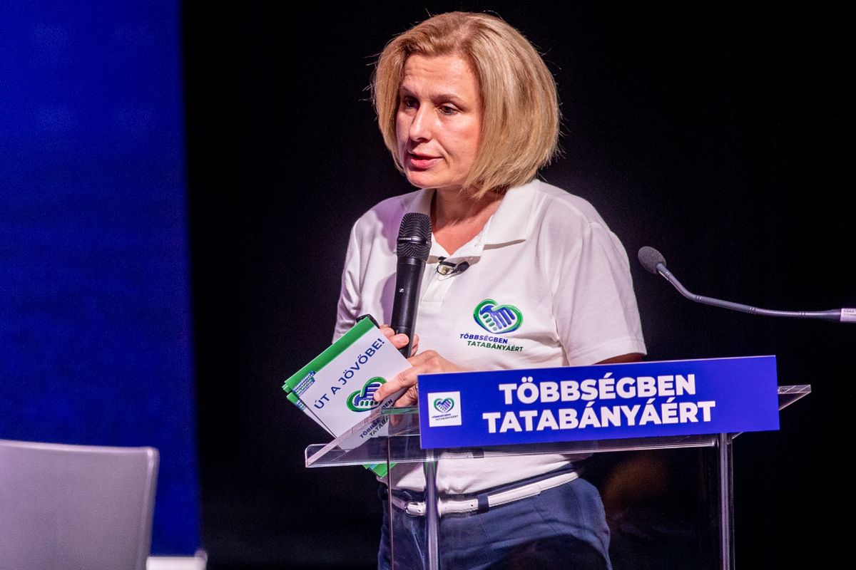 Szücsné Posztovics Ilona kampányrendezvénye Tatabányán