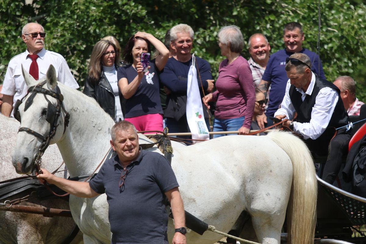 Lovas múltidéző ballagás Tatán