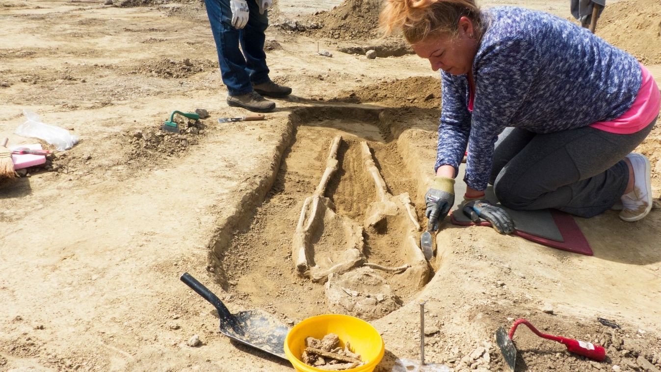 KEMMA – A gyermelyi ásatáson már csaknem száz objektum került elő