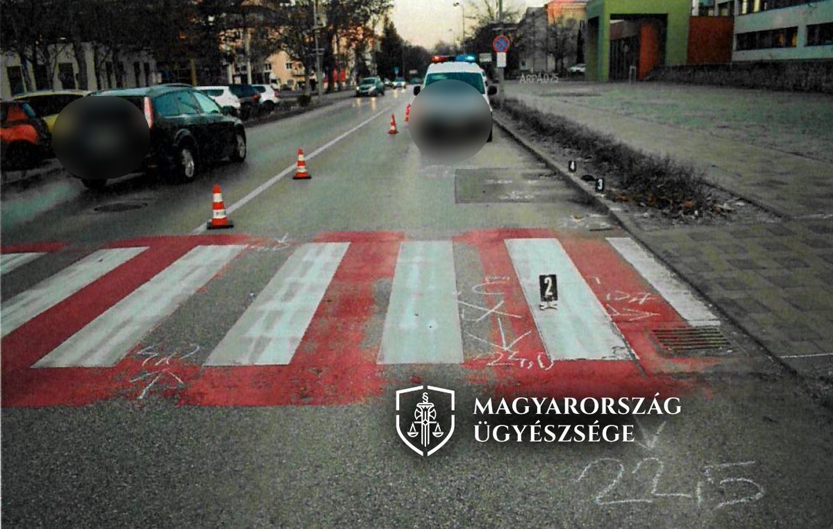 A Tatabányai Járásbíróság a maradandó fogyatékosságot eredményező közúti baleset gondatlan okozásának vétsége miatt indult ügyben hozott ítéletet azzal a sofőrrel szemben, aki a zebrán átkelő gyalogost ütötte el. gyalogosgázolás