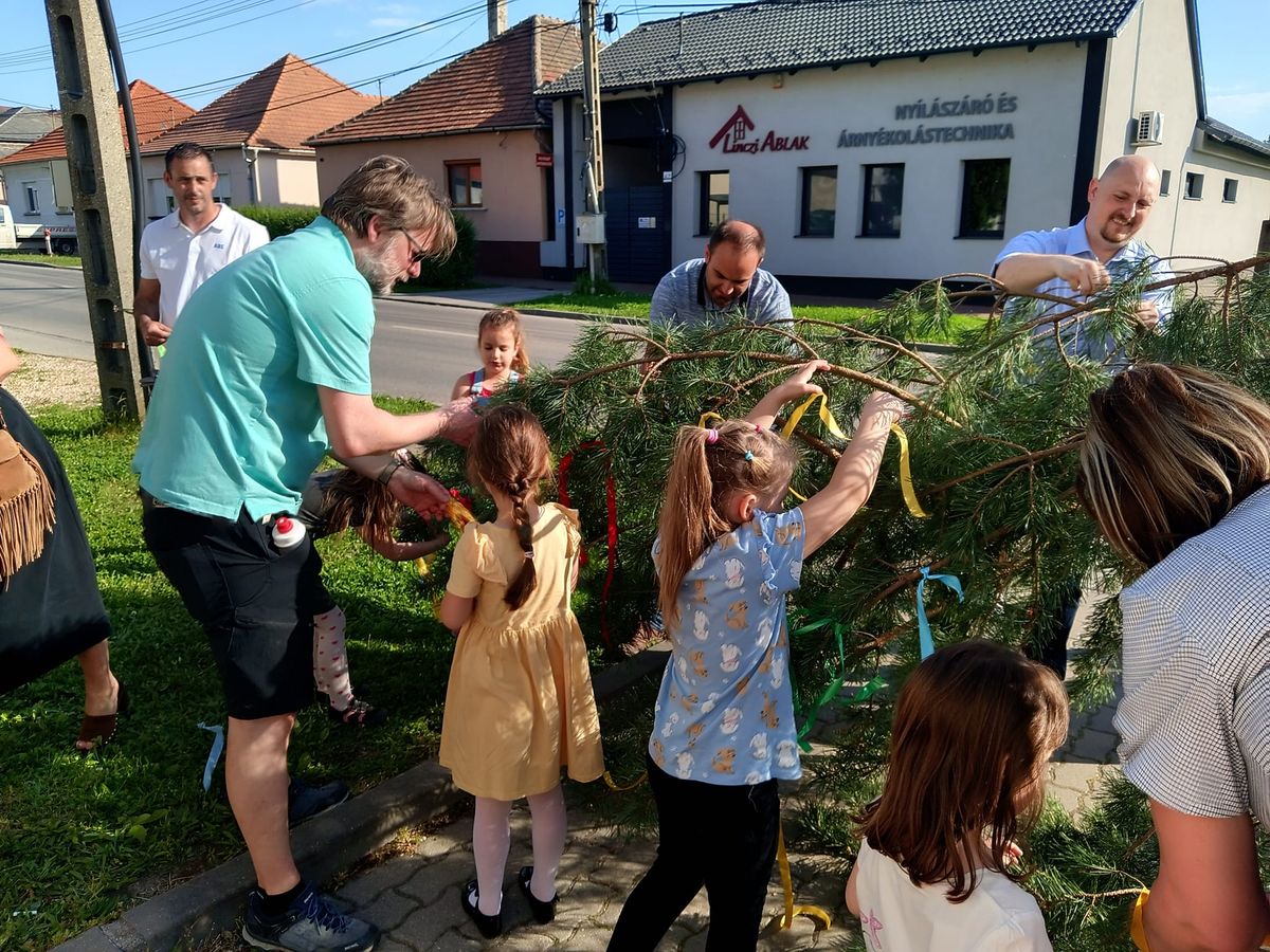 Így készült Alsógallán a májusfa