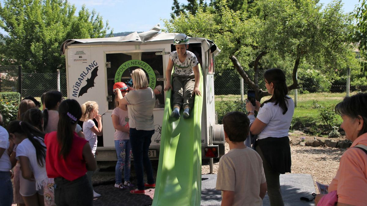 Tartalmas programokkal készültek a fiataloknak, akik közelebb kerülhettek az élővilághoz és a természethez. A madarak és fák napja alkalmából egy emlékfát is elültettek.