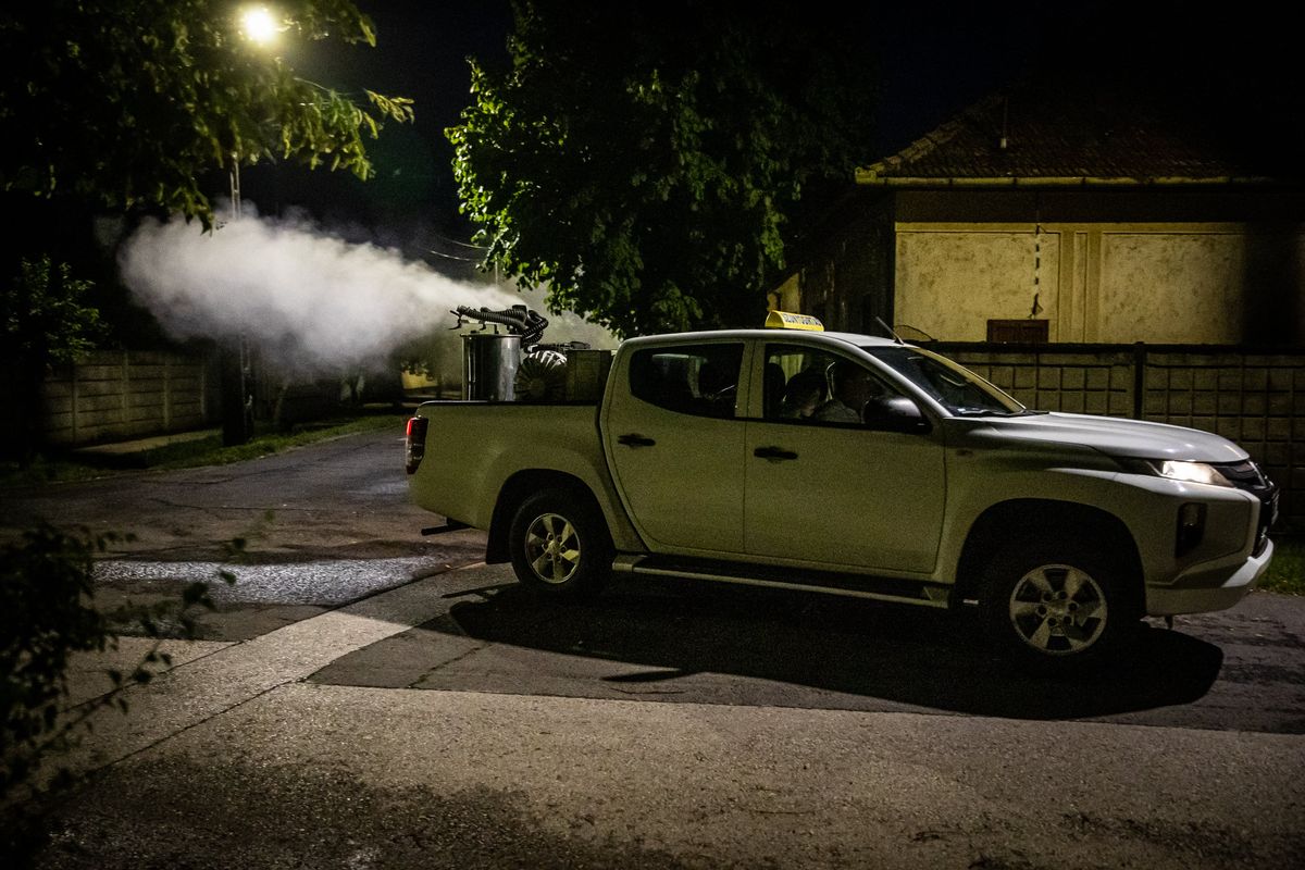 A szúnyogok Komáromban is problémát okoznak, melegködös eljárással is gyérítik őket