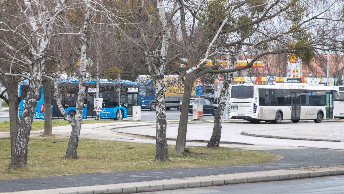 Februárban vezették be az "ingyenes" tatai buszbérletet a helyi járatokon. A város vezetői azt remélték, hogy ettől majd többen választják a tömegközlekedést az autó helyett. A Volántól most megtudtuk, hogy bevált-e a tervük. 