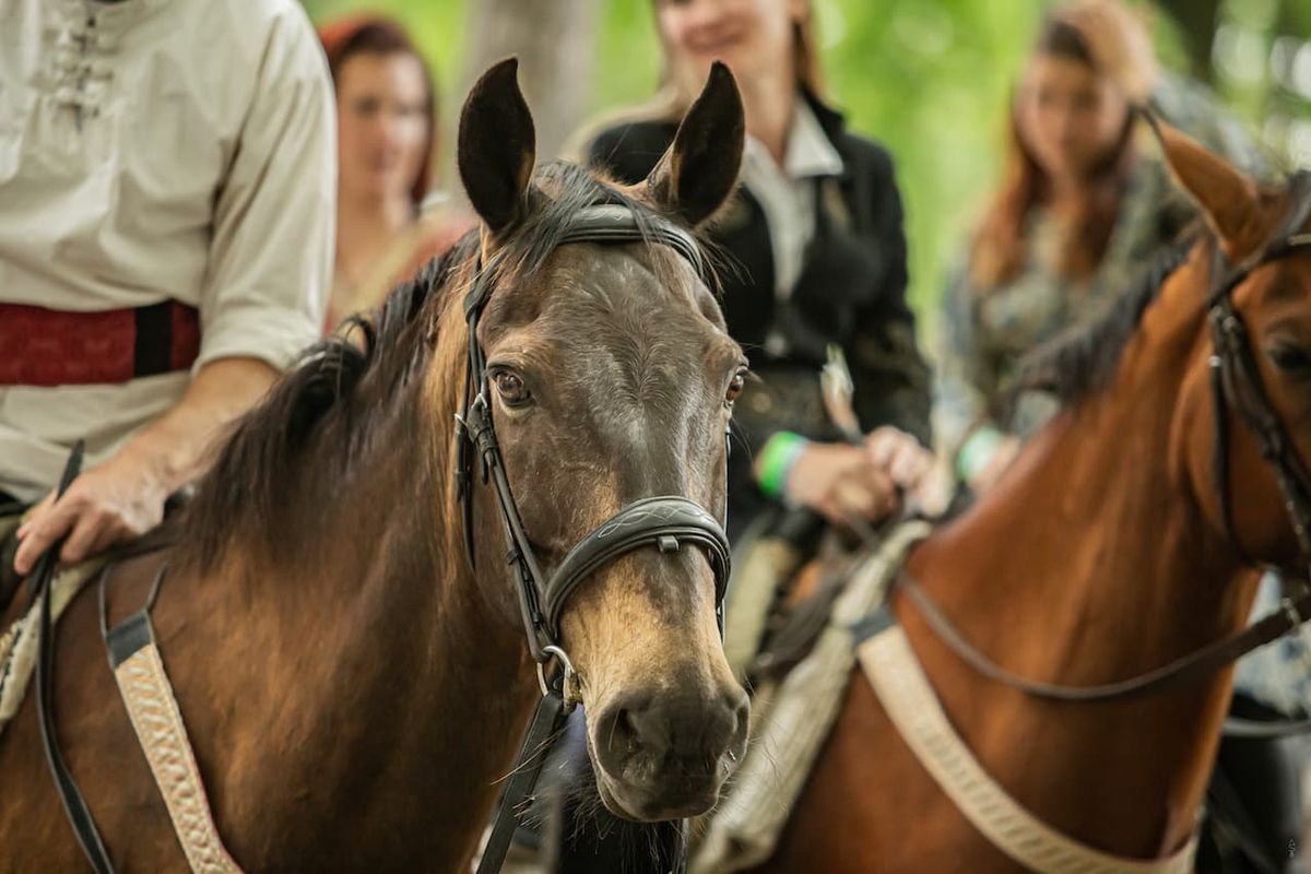 Az akhal-teke lovakról mintázhatták a magyar népmesék aranyszőrű paripáját