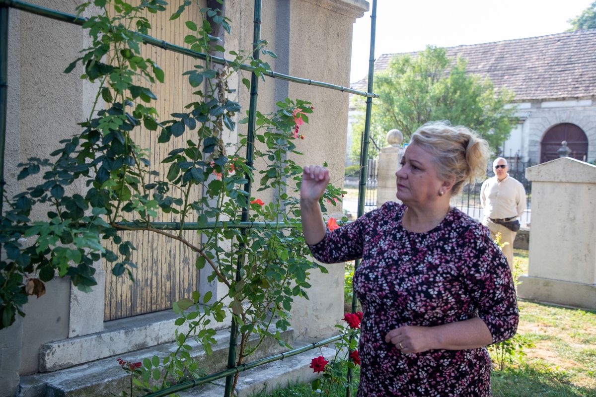 Egy éve készült el a közösségi rózsakert a Dunaalmási Református Templom mellett. A gyönyörű kertet közösségi összefogásban és adományok segítségével hozták létre. Most vandálok rongálták meg a rózsakert virágait. 