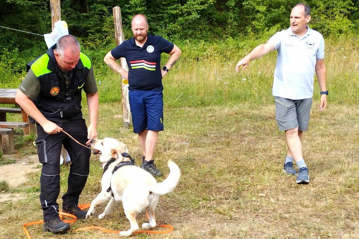 Európa legnagyobb személykövető kutyatáborát rendezték meg a közelmúltban Neszmélyen. Összesen 12 országból érkezett 120 hobbi és keresőkutya, hogy gazdáikkal a legjobbaktól tanulhassanak. 