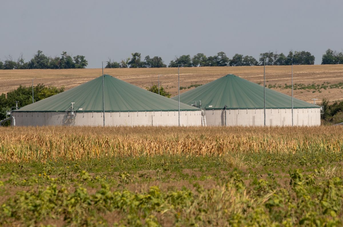 A Kemma.hu birtokába került a halálos munkahelyi baleset jegyzőkönyve. A szákszendi sertéstelepen történt tragédia ügyében szemtanúkat is meghallgattak. 