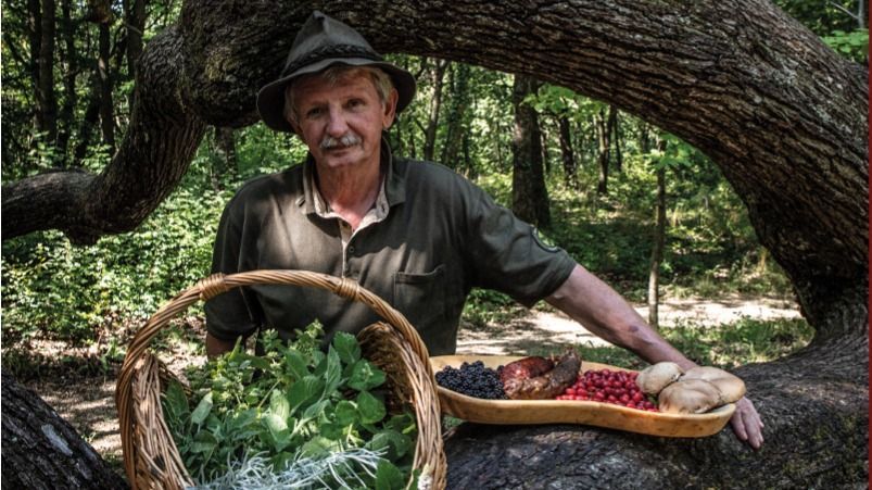 Koncz Antal szerint az erdő bőséggel fogadja a vándorembert, ha fogadja titkait. Az elkötelezett, nyugalmazott erdészt most Magyar Bronz Érdemkereszttel tüntették ki.