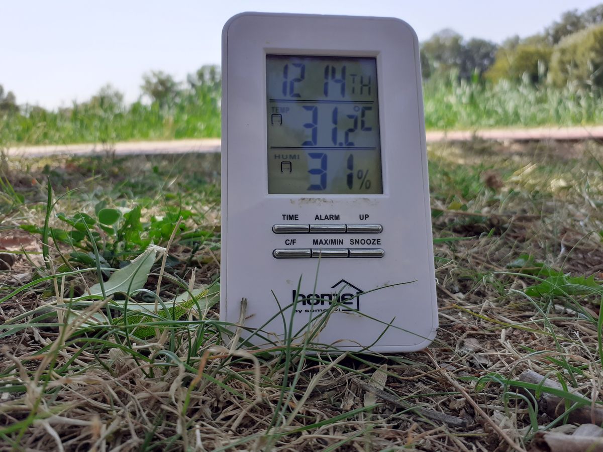 Nincs nagy hőség, de látható, hogy a füves talajon alacsonyabb a hőmérséklet, mint a burkolt felületen