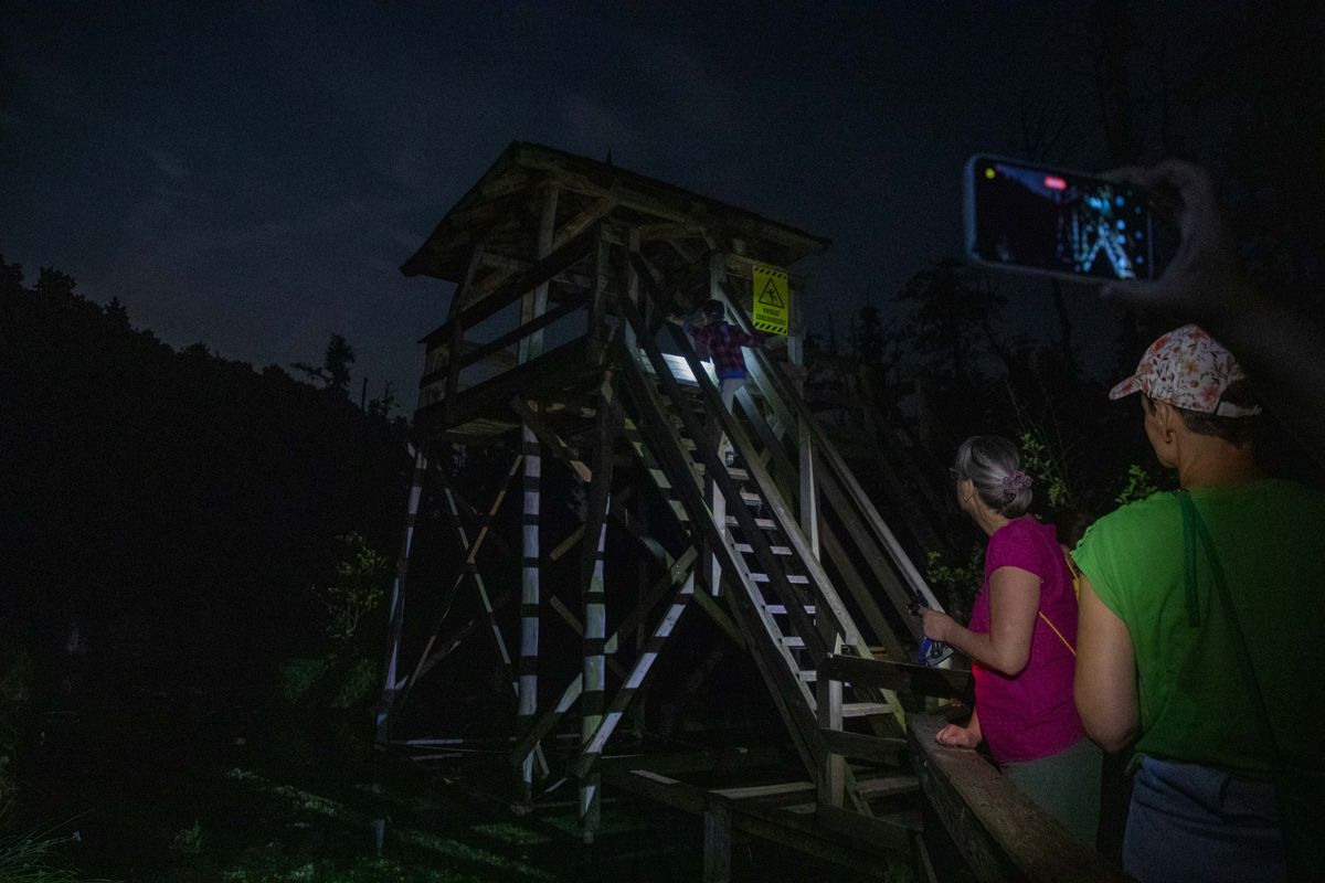 A tatai varázslatos lápvilág minden alkalommal új arcát mutatja a látogatóknak. A teliholdkor tartott alkonytúrán azonban olyan oldalát ismerhetik meg a résztvevők a Fényes Tanösvénynek, amire nappal nincs lehetőség.