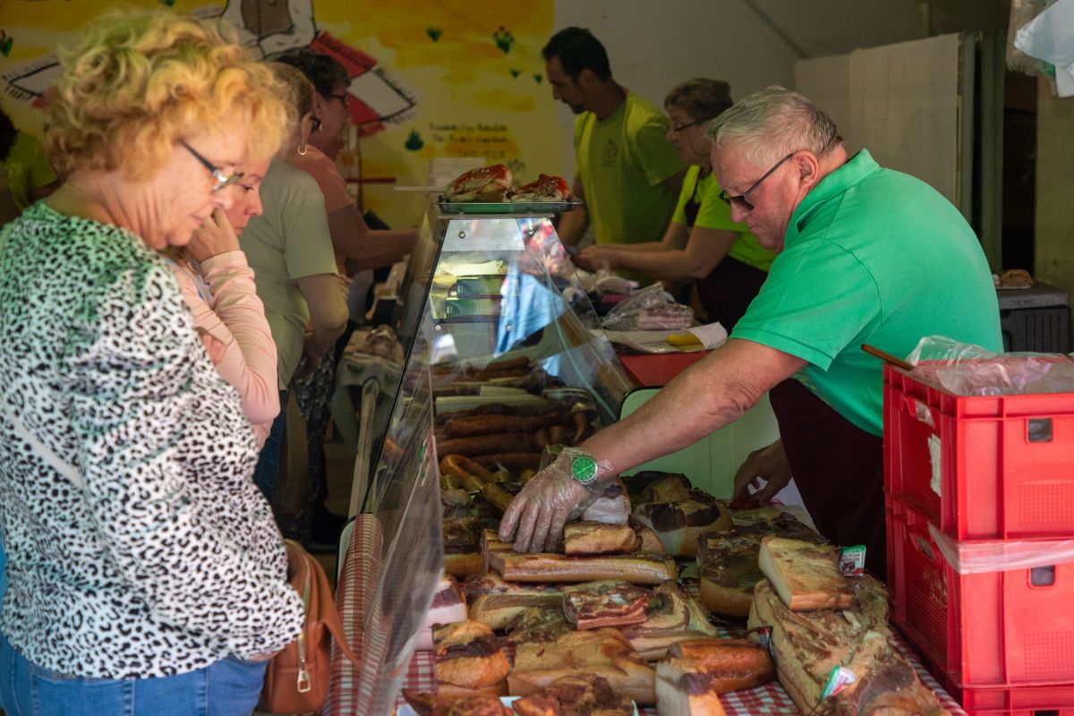 Lecsófesztivál Tatabányán