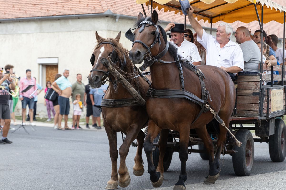 Idén is többen csatlakoztak a szőnyi szüreti felvonuláshoz