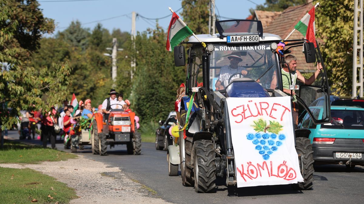 szüret, Kömlőd, felvonulás