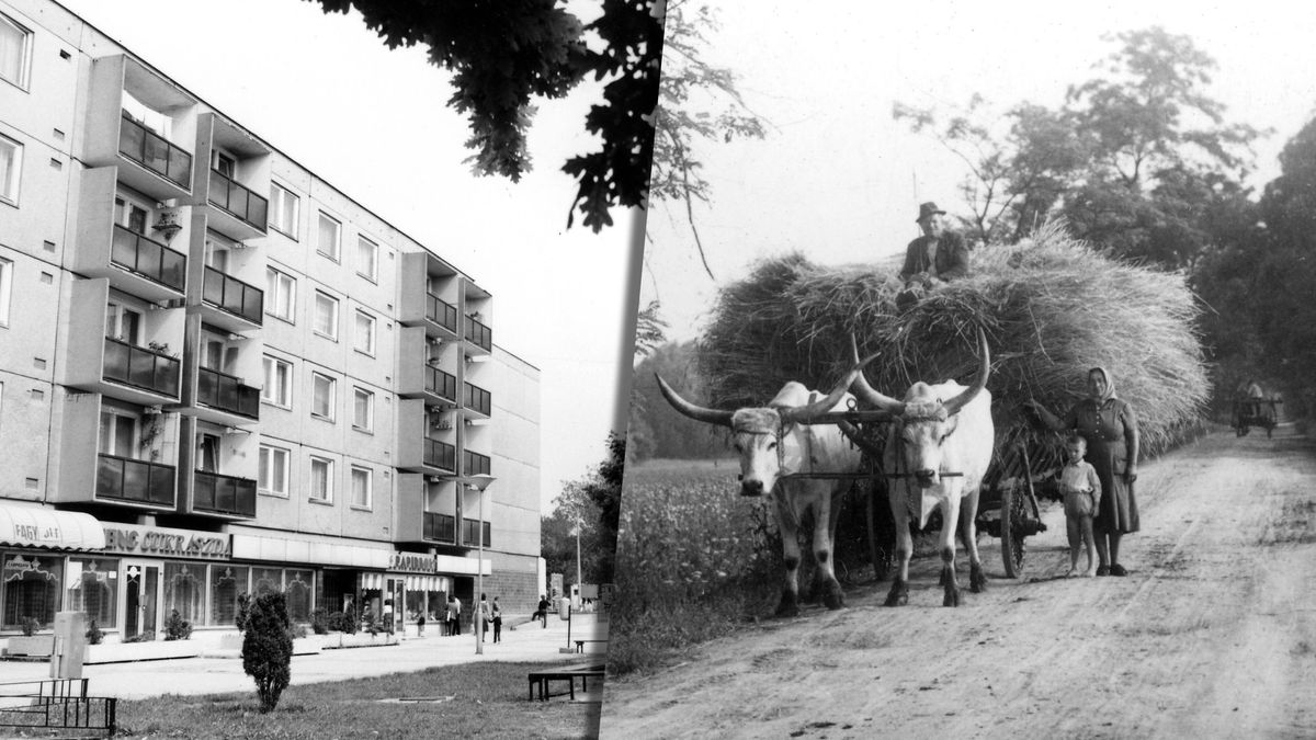 Dózsakert születése: fotók és történetek a múltból