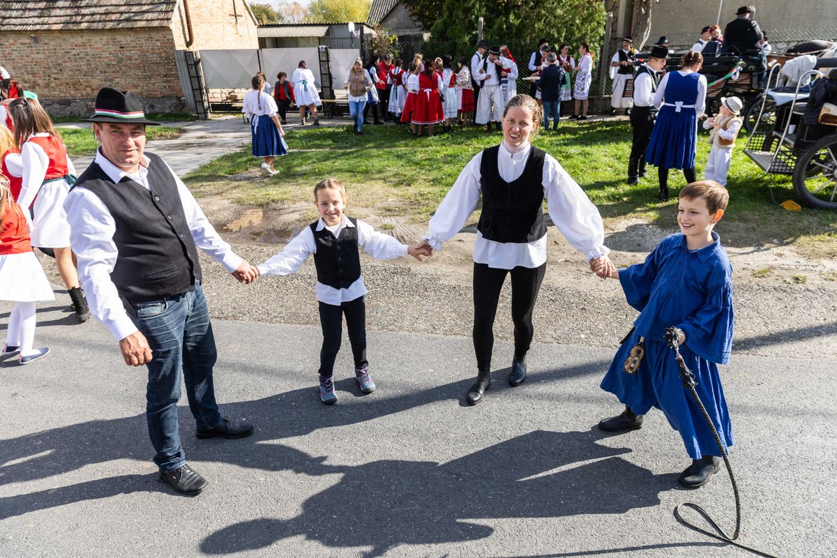 Ki táncba ki pedig ostorcsattogtatásba kezdett 