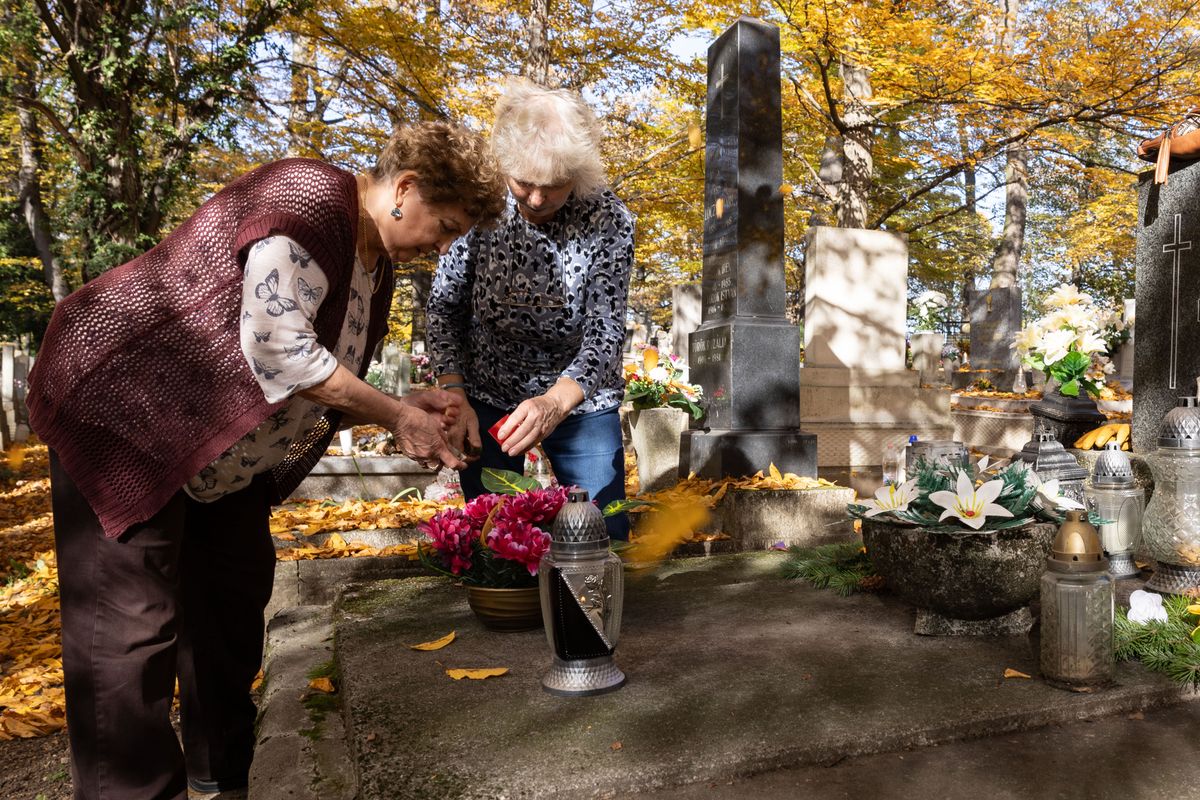 Virág- és koszorúkínálat halottak napja előtt Tatabányán