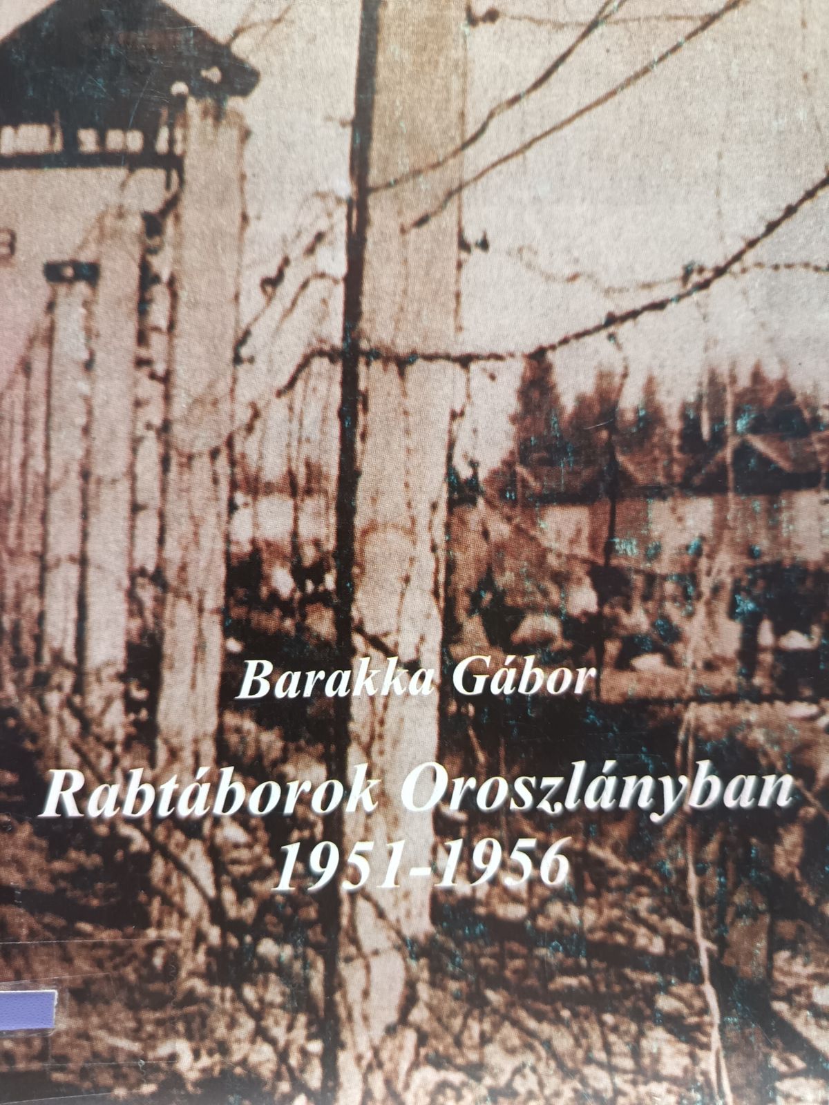 Barakka Gábor 2003-ban megjelent, Rabtáborok Oroszlányban 1951-1956 című könyve részletesen leírja a Kocsedóhoz vezető folyamatot