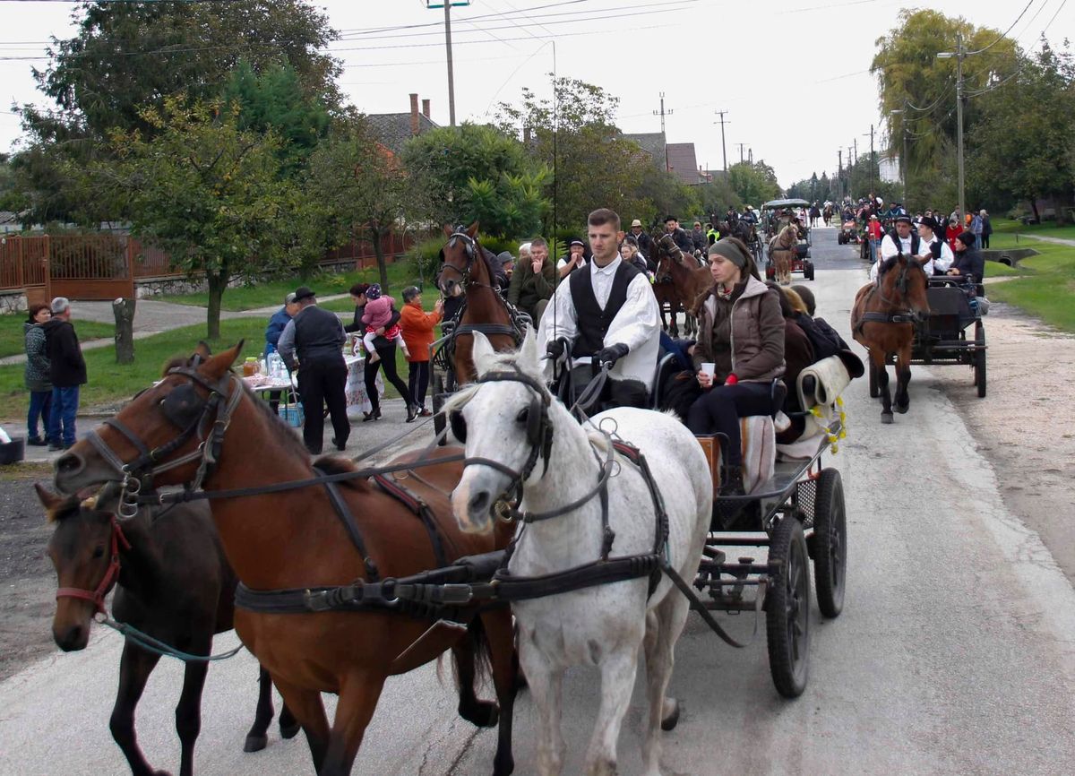 Fogatok, tratorok, is vonultak az etei szüreti felvonuláson