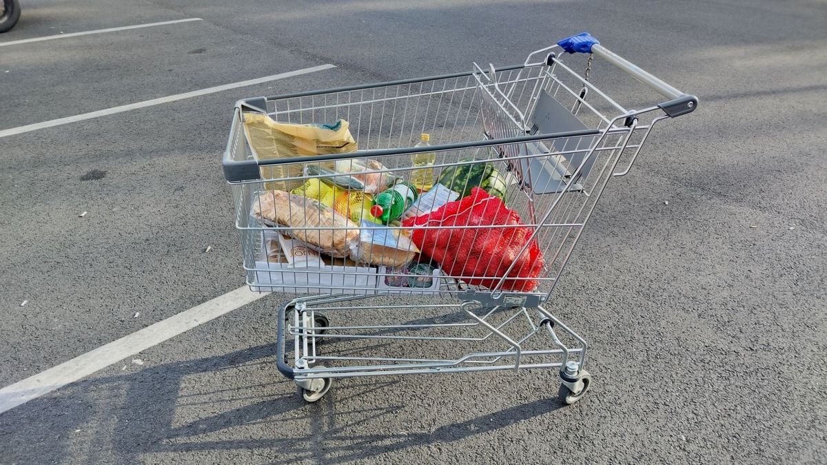 Vannak, akiknek a mindennapok rohanásában összefolynak napok – mármint a munkanapok és az ünnepnapok. Számukra különösen hasznos lehet az a rövid összefoglaló, amit a boltok nyitvatartása kapcsán készítettünk, de kitérünk benne a közlekedési menetrendekre is a mindenszentek és a halottak napja apropóján.