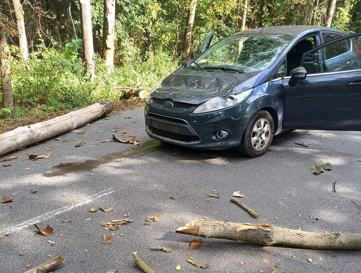 Egy autó motorháztetőjére zuhant egy vaskos faág Tatán, a Remeteségbe vezető Fekete úton. A helyiek szerint az út mellett álló kiszáradt, korhadt fák veszélyesek az autósokra. Az önkormányzat a probléma megoldását ígérte.  