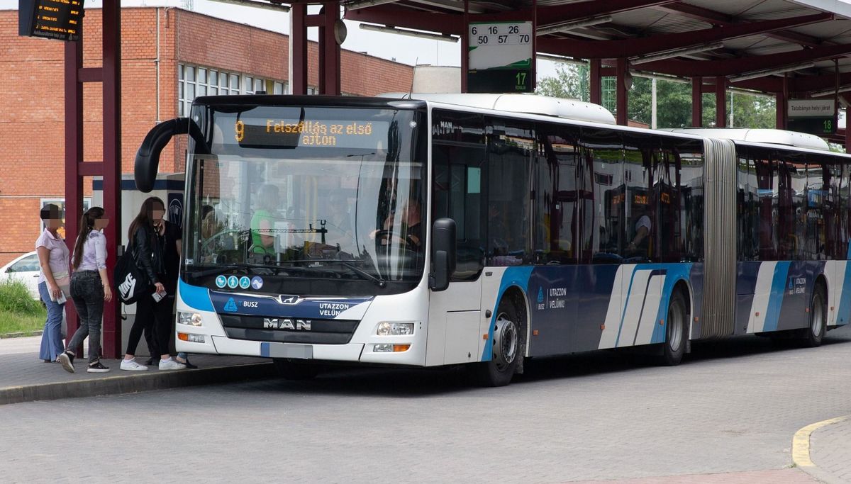 Intelligens buszváróké a jövő Tatabányán