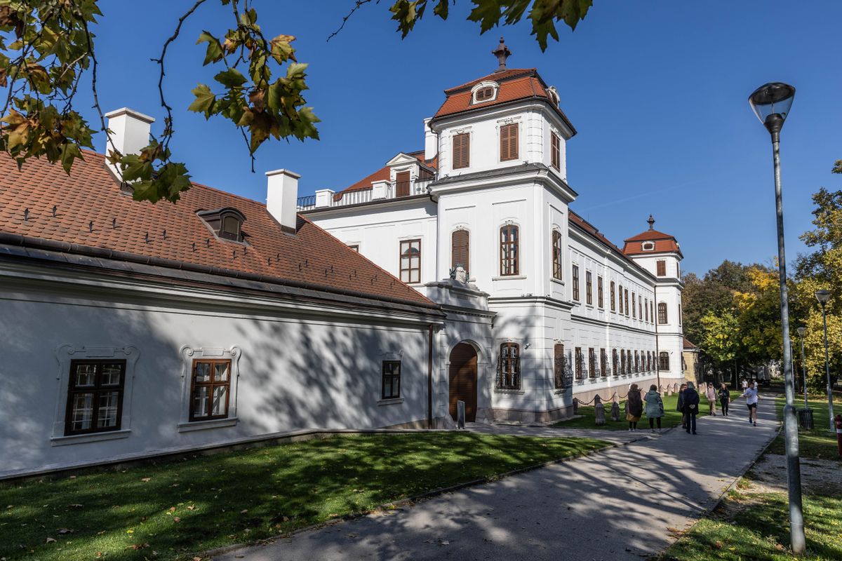 A városfejlesztési bizottság már elfogadta a szakértők döntését, hogy Tata nem pályázik a kastély tulajdonátruházására. Most a képviselők is döntöttek az Esterházy-kastélyról.  