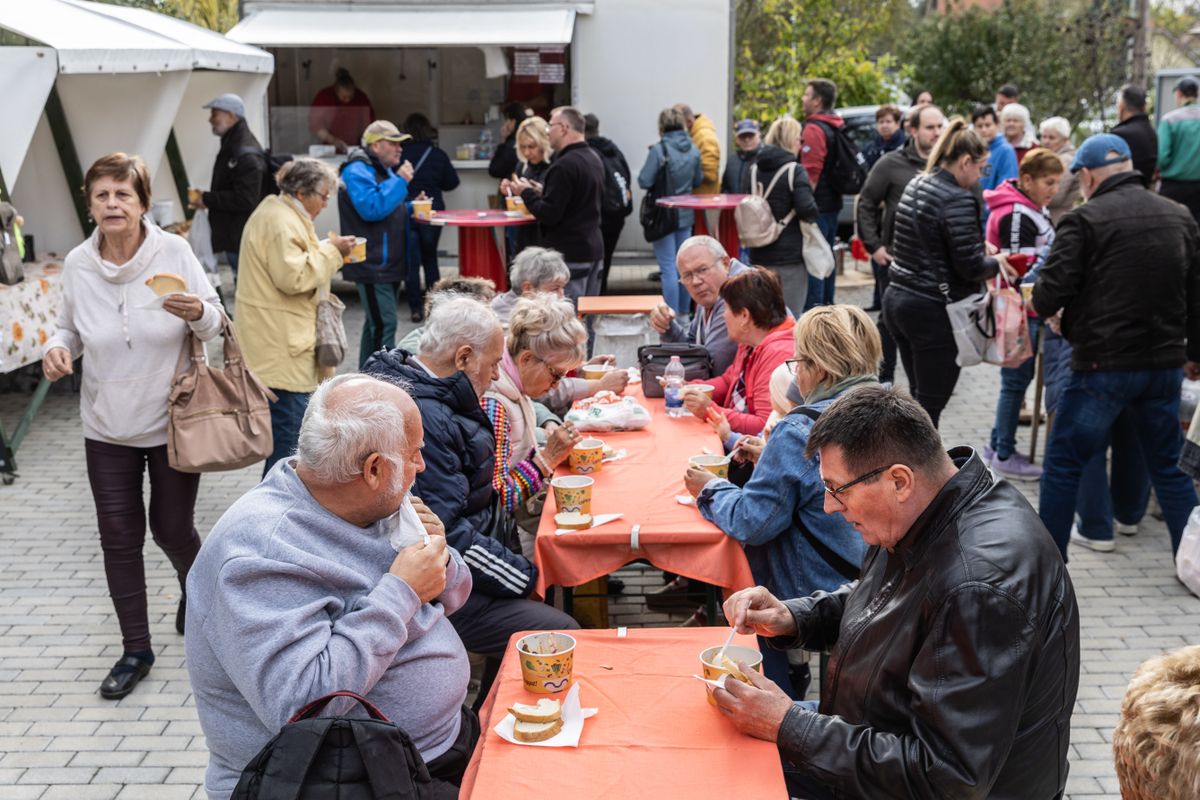 Termelői piac Tatabányán